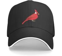 Casquette de Baseball Hip hop Chapeau Soleil Tendance Unisexe pour Hommes et Femmes Cheval Lutte Golf randonnée Snapback Cadeau d'amitié Anniversaire