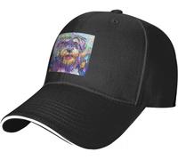 Casquette de Baseball Hip-hop Unisexe Chapeau Soleil Mode Amusante Couleur Unie Schnauzer Rugby Capuche à Pompon Chapeaux pour Hommes et Femmes Cadeau d'amitié Anniversaire