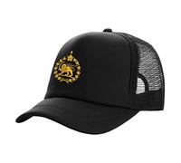 Casquette de Baseball Hiphop Sun Hat Iran Trucker Caps Hommes Iran Drapeau Chapeau Casquette de Baseball Cool Summer Unisex Mesh Net Caps Snapback Réglable Cadeaux d'anniversaire