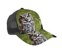 Casquette de baseball imprimée branches d'arbre hibou casquette de camionneur casquette de camionneur en maille casquette de baseball réglable pour homme ou femme été noir