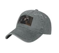 Casquette de baseball labrador noire vintage délavée pour papa chapeau de golf pour homme femme visière réglable, gris, taille unique