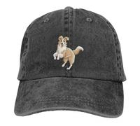 Casquette de Baseball pour Hommes Pur Coton, lavé Casquette de Baseball pour Hommes Gold Border Collie Trucker Snapback Caps Papa Hat Collie Dog Golf Hats, Cadeaux de Noël