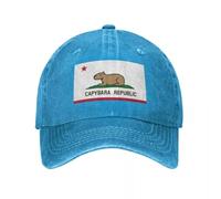 Casquette de Baseball réglable Capybara Drapeau (Version détendue en Terre) Luxury Bobble Noël Classique Denim Usé Homme 2025 Chapeau de Sport de Plein air