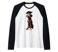 Casquette de remise de diplôme en forme de chien Vizsla à poil dur Manche Raglan