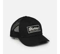Casquette Dickies Lewiston Trucker Noir