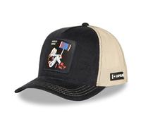 Casquette Homme & Femme, Casquette Trucker DC Comics, Ajustable par Snapback, Noir Taille TU