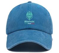 Casquette Homme pour Bi-an. ch.i, Unisexe Réglable 6 Panel Chapeau Soleil, Sport Extérieur Sunhat pour Hommes Femmes, Trucker(Blue)