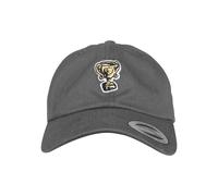 Casquette Mister Tee trophy dad Gris TU