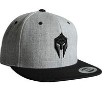 Casquette: Sparte - Flexfit Classic Snapback Basecap avec Broderie en 3D - Bonnet Hip-Hop Rap - Képi Spartiate - Cap MMA Combat - Toque Cadeau - Urban Streetwear Club - Gym Fitness (Gris)