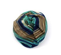 Casquette Unisexe Chapeaux Coupe-vent Casaul Imprimé Rayures Casquettes d'extérieur Gravely Apparel, bleu ciel, Taille unique