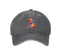 Casquettes de Baseball en Jean en Jean de Dessins animés pour Hommes et Femmes Casquettes de Routier décontractées de Mode Ajustables pour Les activités de pêche en Plein air