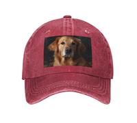 Casquettes de camionneur à snapback pour hommes et femmes, casquettes de baseball Golden Retriever, cowboy, casquette de baseball réglable pour papa, Rouge, taille unique