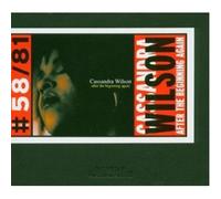 Cassandra Wilson – After the Beginning Again – CD