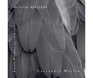 Cassandre Marfin - Entre Plumes et Lumières