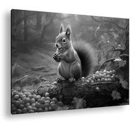Casse-noisette d'automne, écureuil, brumeux Format : 90 x 60 cm Effet : noir et blanc comme image sur toile, Motif prêt à être encadré sur un cadre en bois véritable, Impression numérique de qualité