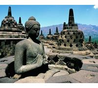 Casse-tête de 1000 pièces pour adultes BOROBUDUR MONUMENT BRILLANT Statue de Bouddha Indonésie Décor Puzzle stimulant pour amis, famille, adolescents, décoration murale 50 x 75 cm (A31)