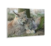 Casse-tête de 1000 pièces pour Adultes，Lynx，Puzzle en Papier, Jeu de Puzzle Familial, Anti-Stress, Puzzle Difficile, pour Enfants et Adultes（38x26cm）-160