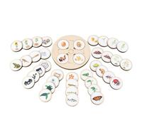 Casse-tête du Cycle de Vie - Cycle de Vie des Jouets de Puzzle en Bois pour Tout-Petits,Puzzles en Bois, Jeu d'association de Figures d'animaux, Cadeau de Jouet de Projet d'école éducative