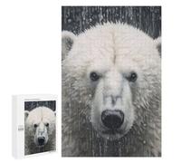 Casse-tête pour Adolescents 1000 PCS Cute Wet Polar Bear Casse-tête pour Adultes, Jeu De Réflexion, Décoration Intérieure, Cadeaux Anti-Stress 1000 PCS