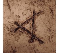 Cassels – Tracked in Mud – Vinyle LP 12" coloré (Eco‑Mix)