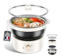 Casserole électrique 2.5L, marmite shabu-shabu avec cuve amovible, Chauffage rapide, idéale pour soupes et pâtes, parfaite pour dîners et réceptions familiales (Noir L)