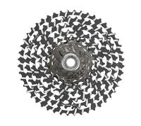Cassette Campagnolo Record X 13V 10-48T Argenté