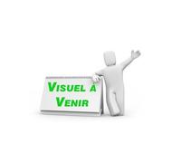 CASSETTE VIDEO N1 OUSMANE SOW, LE SOLEI: (PRIX DE CESSION) [VHS]