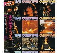 Cassidy, David - Live