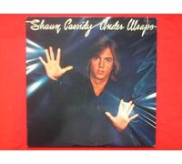 Cassidy, Shaun - Cassidy, Shaun Under Wraps LP Warner Bros RBSK 3222 EX/EX 1978 US pressing, with inner, inner has 10cm seam split and is a bit creased. Sleeve is slightly rubbed at corners and has 1.5cm slit (to mark it for export)