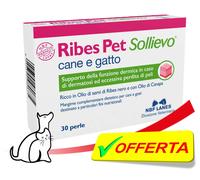 Cassis Animal de Compagnie Soulagement pour Chiens Et Chats 30/60/120/180