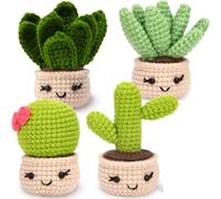 casstaly Kit de Crochet Succulentes 4 PCS, Kit de Crochet pour Débutants, Kit de Crochet pour Débutants
