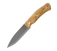 CASSTROM No.10 SFK Bouleau/SS/FS CASS-13128
