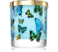 Castelbel Portus Cale Butterflies bougie parfumée 210 g