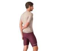 Castelli Cuissard Espresso 2