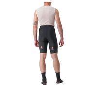 Castelli Cuissard Sans Bretelles Entrata 2