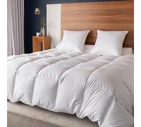 CASTEX - Couette Chaude Duvet/Coton Bio 260x240