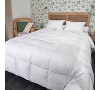 CASTEX - Couette Chaude Duvet d'oie/Coton Bio 140x200