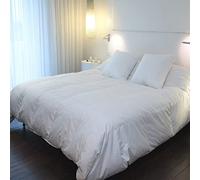 CASTEX - Couette Chaude Plume-Duvet 200x200