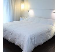 CASTEX - Couette Chaude Plume-Duvet King Size 280x240