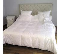 CASTEX - Couette Légère Plume-Duvet 200x200