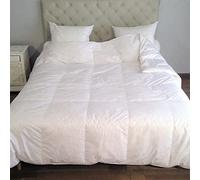 CASTEX - Couette Légère Plume-Duvet King Size 280x240