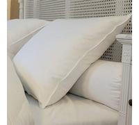 CASTEX - Oreiller Mi-Ferme Plume-Duvet 65x65