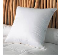 CASTEX - Oreiller Moelleux Duvet/Coton Bio 60x60