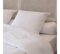 CASTEX- Oreiller Plat Moelleux Plume-Duvet 50x70
