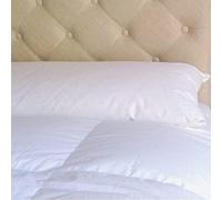CASTEX - Traversin Plat Moelleux Plume-Duvet King Size 200
