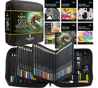 Castle Art Supplies Lot de 120 crayons artistiques mixtes - Collection de crayons de couleur, crayons aquarelle, pastels, crayons métalliques, crayons graphite, fusains - Dans un étui de voyage clair