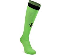 Castore Charlton Athletic Third Goalkeeper Socks Adults Vert 6-9 Male