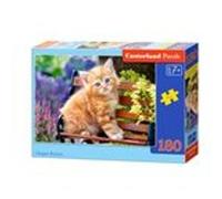 Castorland 180 pièces de puzzle chaton gingembre Multicolore G