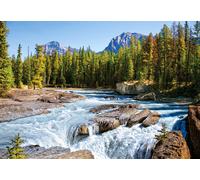 Castorland Athabasca River, Jasper National Park, Canada 1500 pcs Jeu de puzzle 1500 pièces Paysage