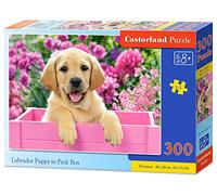 Castorland Puzzle Chiot Labrador B-030071 - 300 pièces